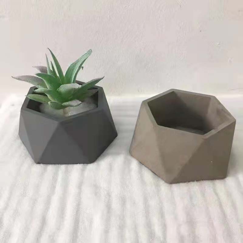 多肉植物