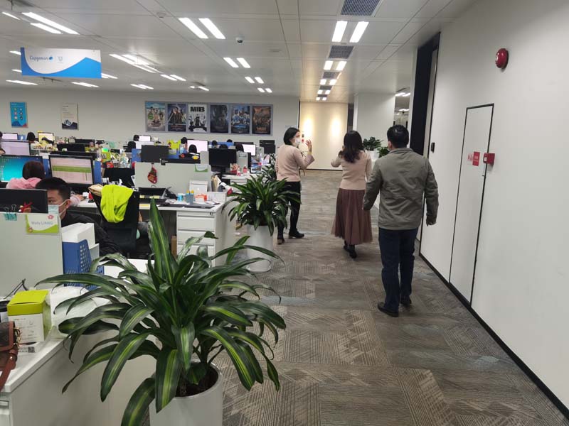 广东凯捷商业数据处理服务有限公司绿植租摆