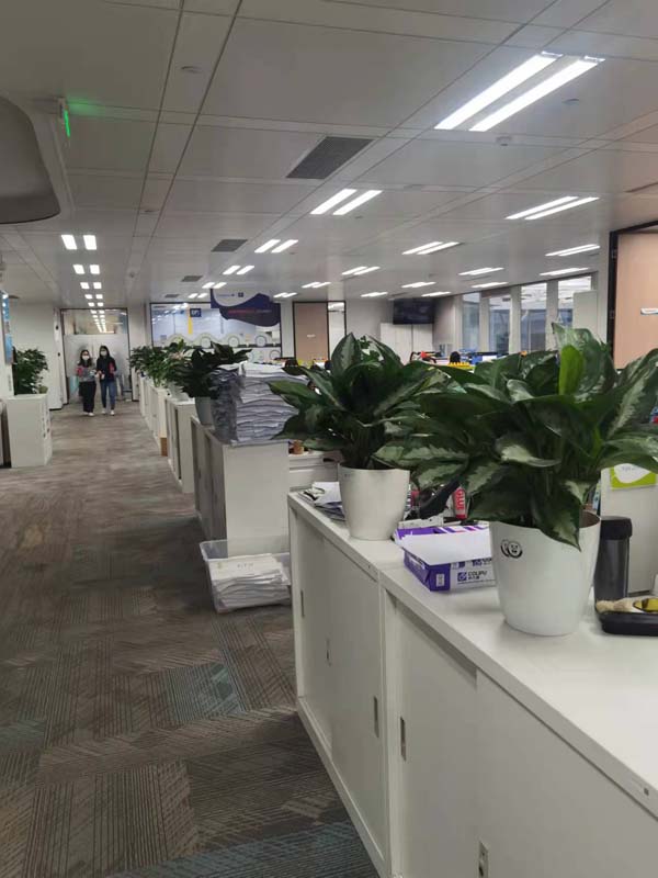 广东凯捷商业数据处理服务有限公司绿植租摆