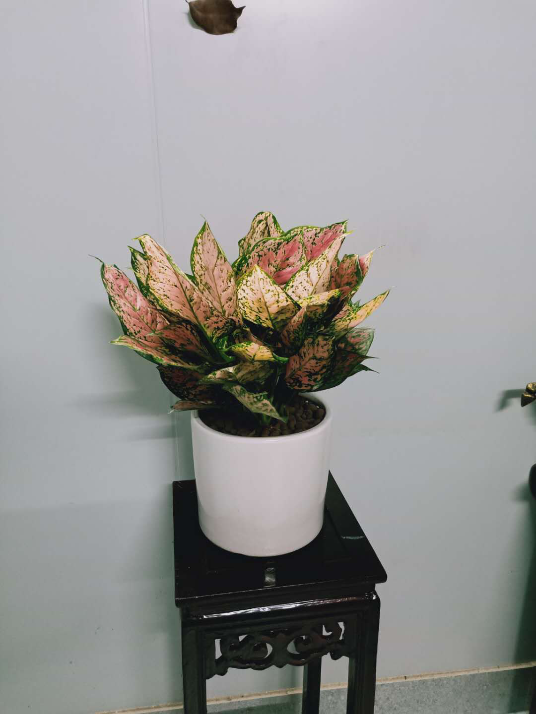 如意