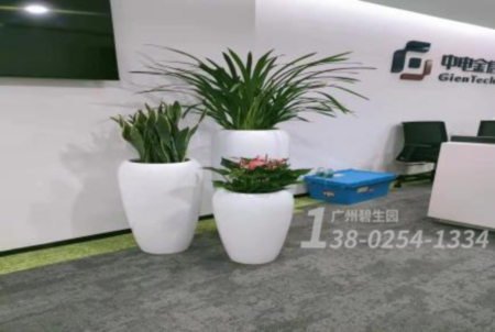办公室绿植摆放，选择广州碧生园提供植物租赁与养护方案！