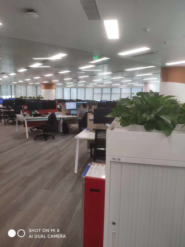 渣打银行绿植租摆