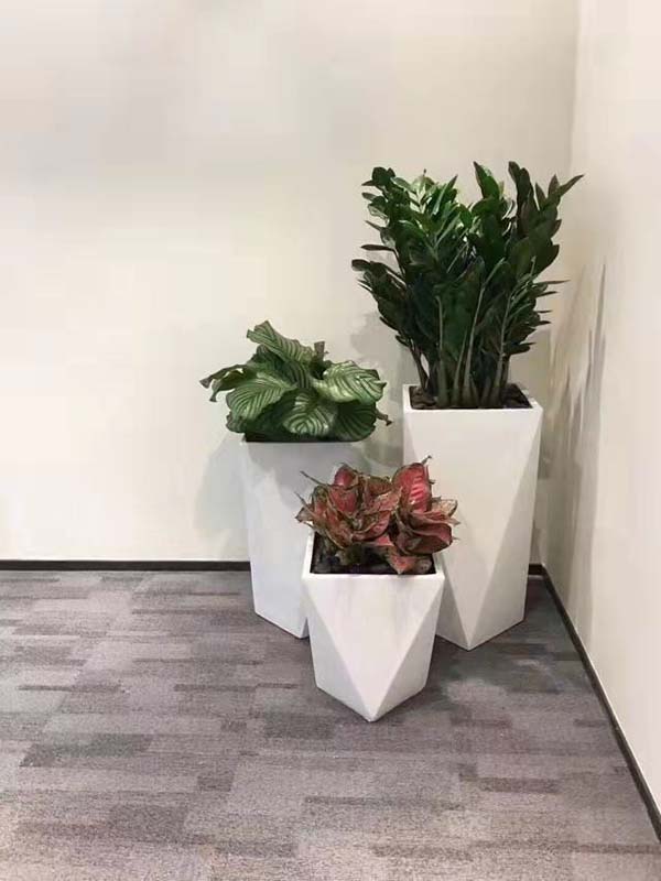 在广州南沙，该通过何种方式笃定采用绿植租赁公司才可获得适合的多少钱？