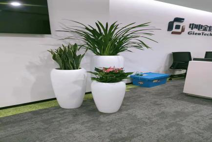 MOS管公司在广州天河区花卉植物租摆报价价格？