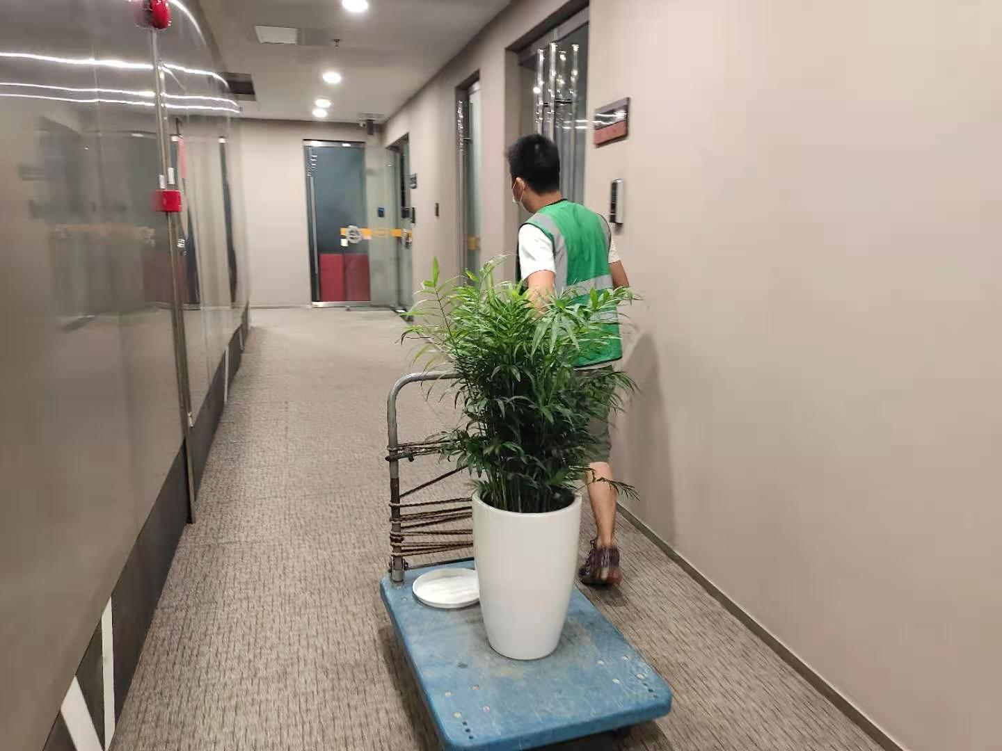 国药（广州）国际医药卫生有限公司