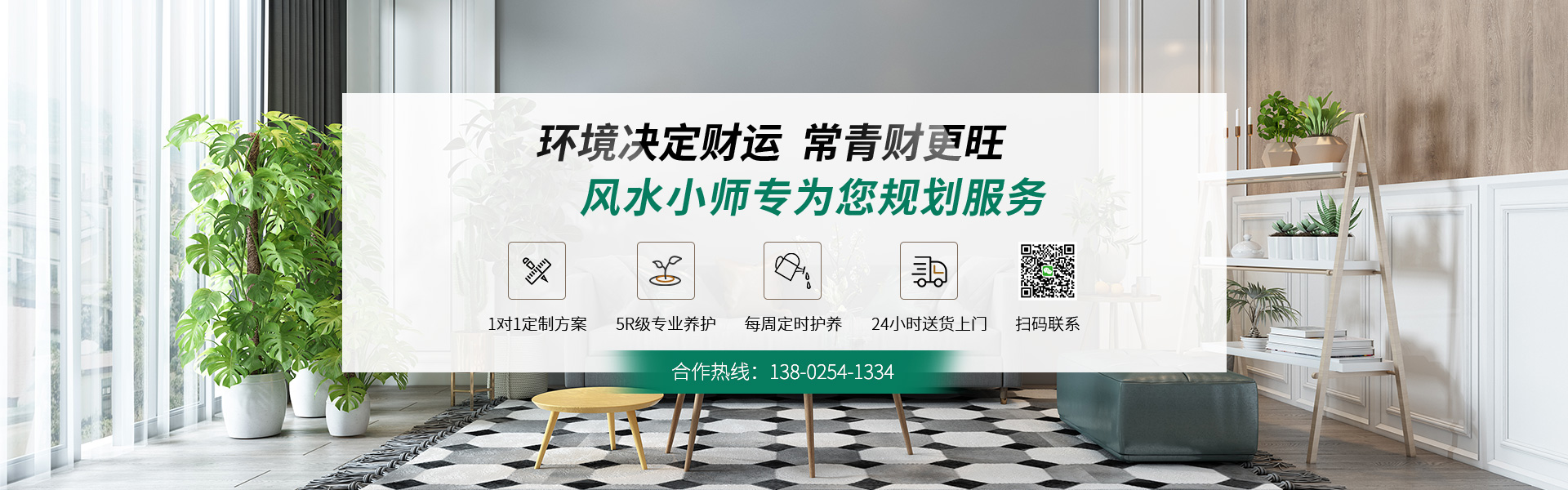 量身定制绿植租摆设计方案