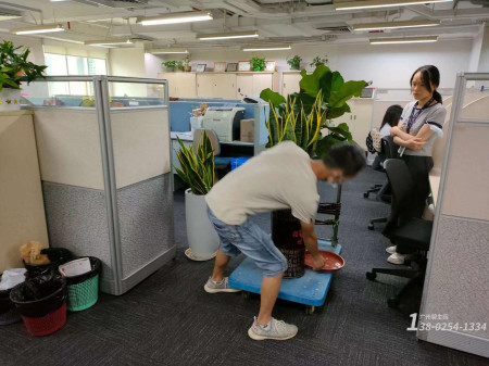 办公室植物租赁，选择广州专业植物租摆公司提供的解决方案！